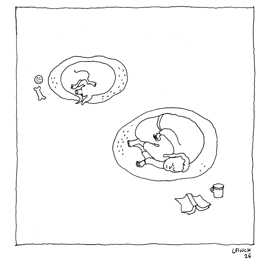 Dog Bed Letterpress Print