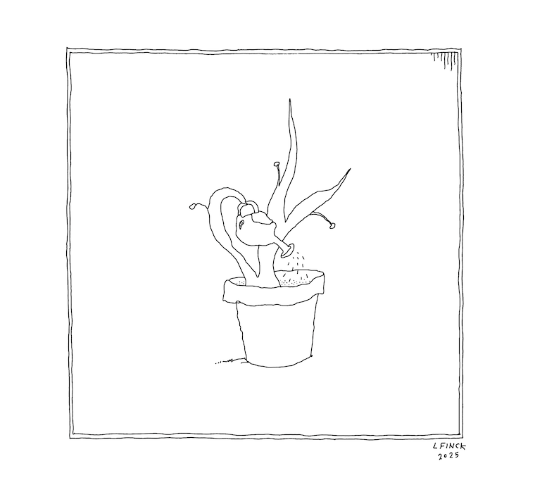 Plant Letterpress Print